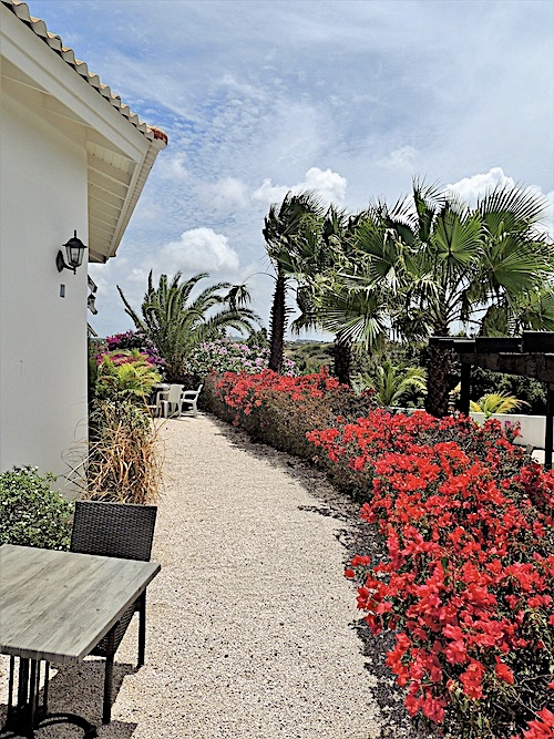 B & B :: BED & BREAKFAST CURACAO HACIENDA LA BOUGAINVILLE